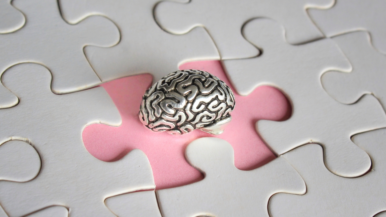 What Is A Psychiatric Evaluation Brain Puzzle