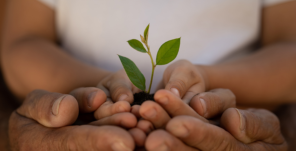 Nurturing Sustainable Change